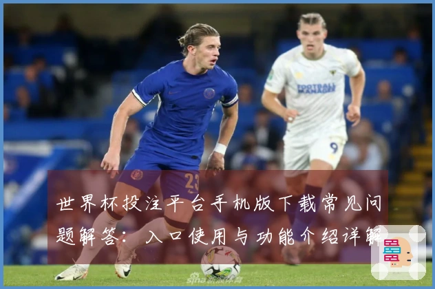 世界杯投注平台手机版下载常见问题解答：入口使用与功能介绍详解