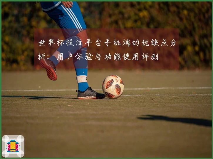 世界杯投注平台手机端的优缺点分析：用户体验与功能使用评测