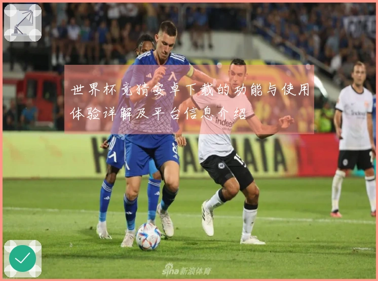 世界杯竞猜安卓下载的功能与使用体验详解及平台信息介绍
