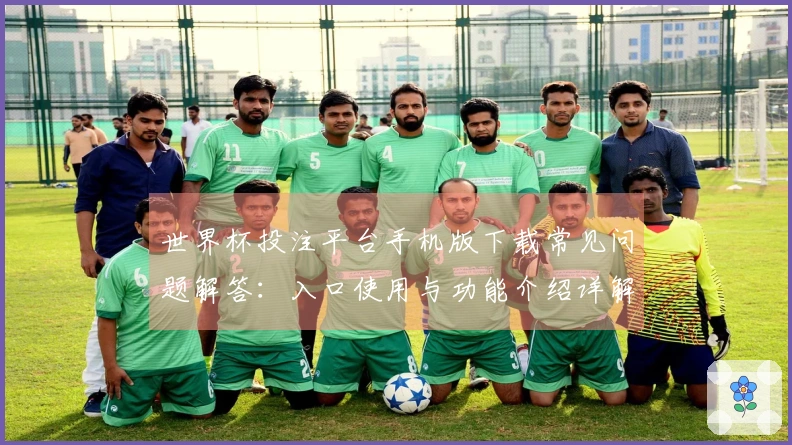 世界杯投注平台手机版下载常见问题解答：入口使用与功能介绍详解