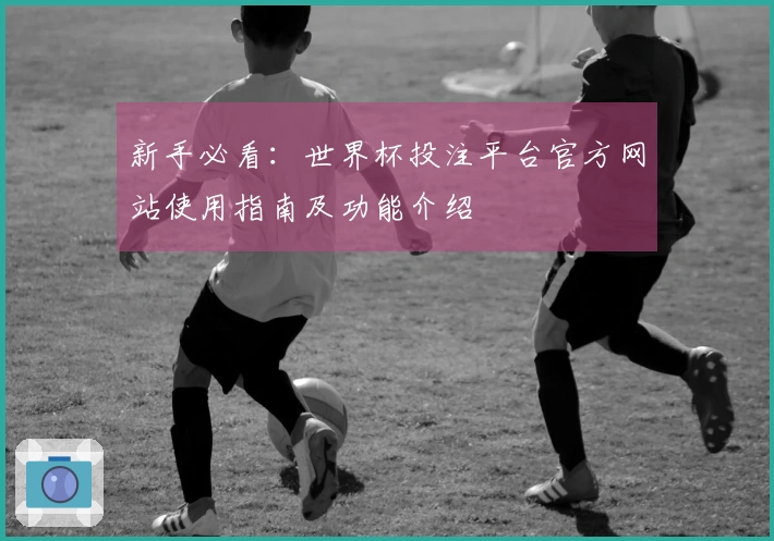 新手必看：世界杯投注平台官方网站使用指南及功能介绍