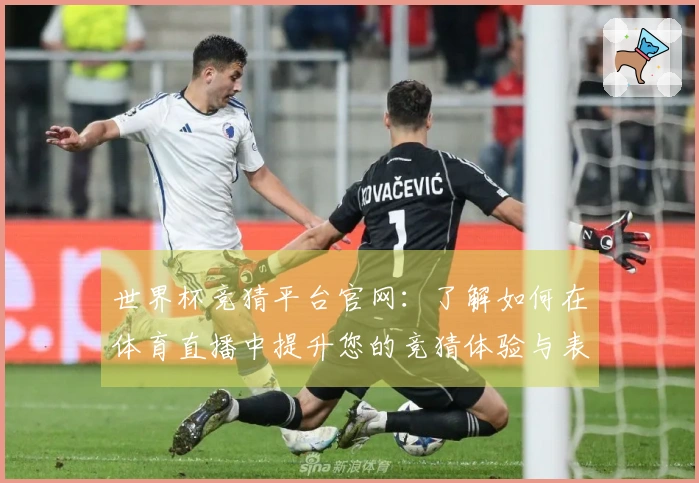 世界杯竞猜平台官网：了解如何在体育直播中提升您的竞猜体验与表现分析