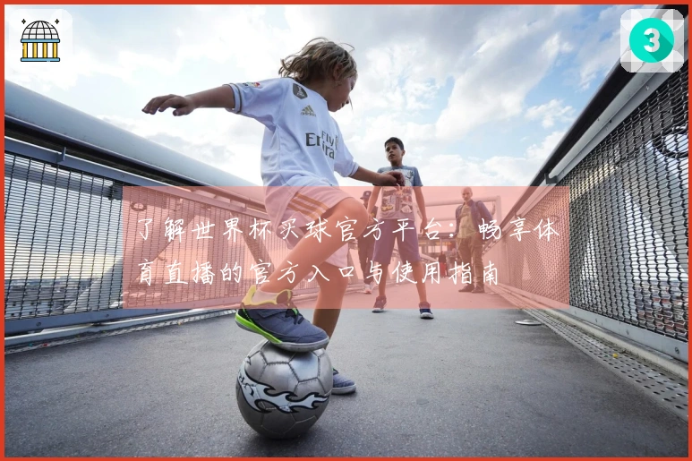 了解世界杯买球官方平台：畅享体育直播的官方入口与使用指南