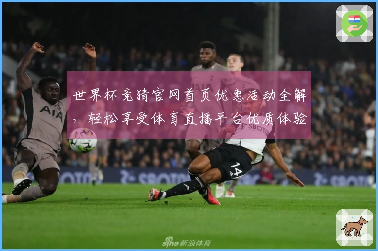 世界杯竞猜官网首页优惠活动全解，轻松享受体育直播平台优质体验