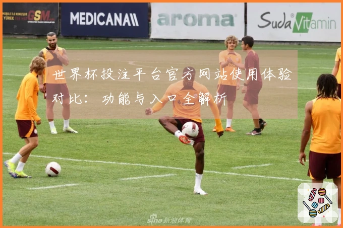 世界杯投注平台官方网站使用体验对比：功能与入口全解析