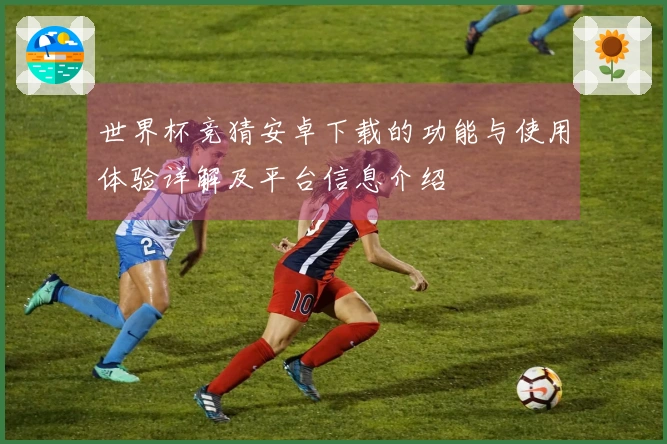 世界杯竞猜安卓下载的功能与使用体验详解及平台信息介绍