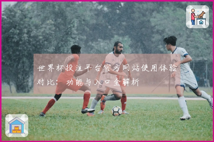 世界杯投注平台官方网站使用体验对比：功能与入口全解析